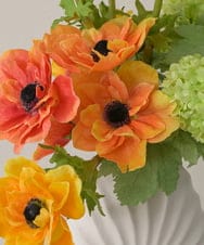 TUUED12300 EMILIO ROBBA(エミリオ ロバ) アネモネ2L26 その他0000