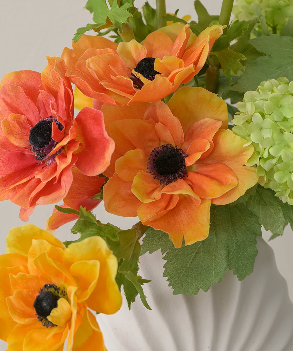 TUUED12300 EMILIO ROBBA(エミリオ ロバ) アネモネ2L26 その他0000