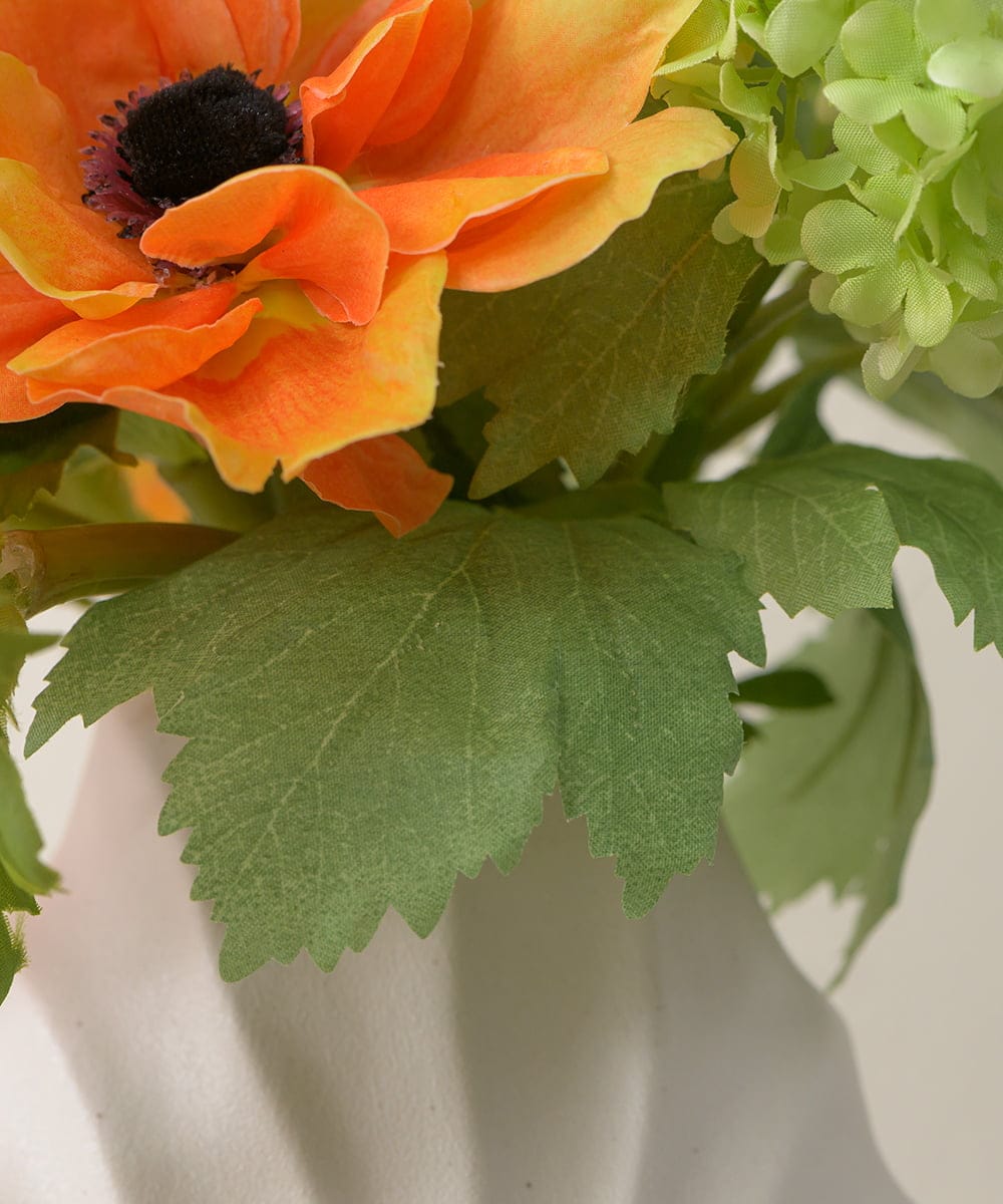 TUUED12300 EMILIO ROBBA(エミリオ ロバ) アネモネ2L26 その他0000