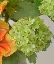 TUUED12300 EMILIO ROBBA(エミリオ ロバ) アネモネ2L26 その他0000