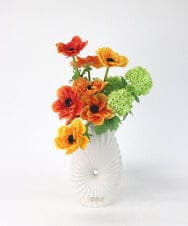 TUUED12300 EMILIO ROBBA(エミリオ ロバ) アネモネ2L26 その他0000