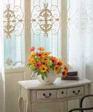 TUUED13700 EMILIO ROBBA(エミリオ ロバ) アネモネ4L26 その他0000