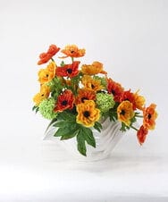 TUUED13700 EMILIO ROBBA(エミリオ ロバ) アネモネ4L26 その他0000