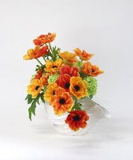 TUUED13700 EMILIO ROBBA(エミリオ ロバ) アネモネ4L26 その他0000