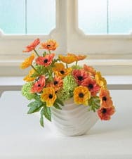 TUUED13700 EMILIO ROBBA(エミリオ ロバ) アネモネ4L26 その他0000