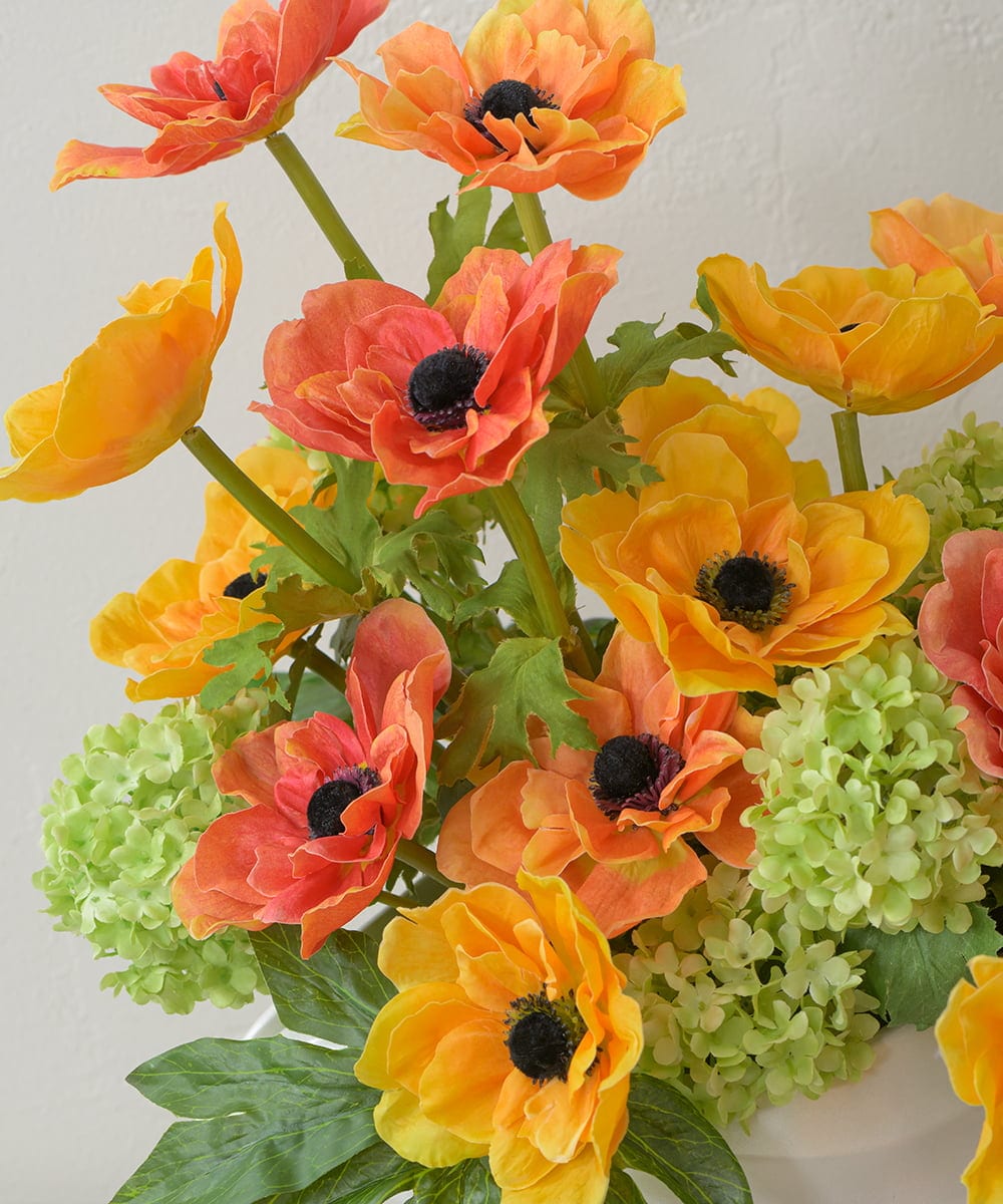 TUUED13700 EMILIO ROBBA(エミリオ ロバ) アネモネ4L26 その他0000