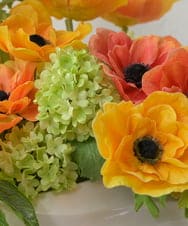 TUUED13700 EMILIO ROBBA(エミリオ ロバ) アネモネ4L26 その他0000