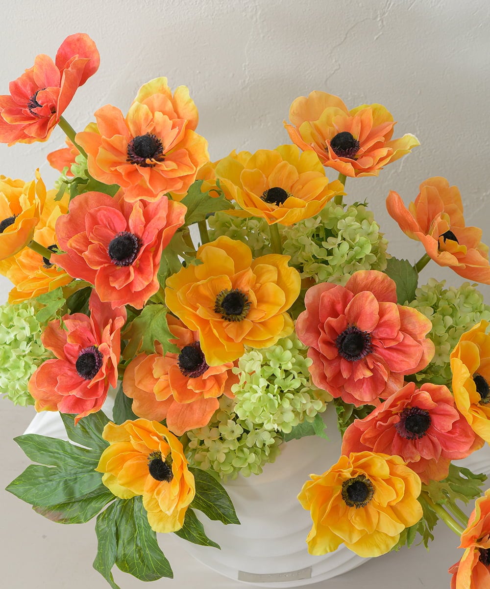 TUUED13700 EMILIO ROBBA(エミリオ ロバ) アネモネ4L26 その他0000