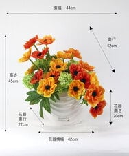 TUUED13700 EMILIO ROBBA(エミリオ ロバ) アネモネ4L26 その他0000