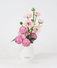 TUUED41160 EMILIO ROBBA(エミリオ ロバ) ラナンキュラス2M26-pk その他0000