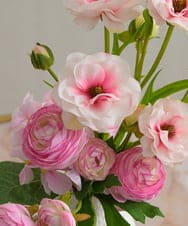 TUUED41160 EMILIO ROBBA(エミリオ ロバ) ラナンキュラス2M26-pk その他0000