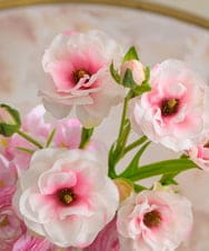 TUUED41160 EMILIO ROBBA(エミリオ ロバ) ラナンキュラス2M26-pk その他0000