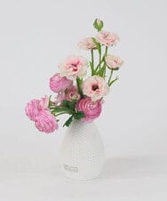 TUUED41160 EMILIO ROBBA(エミリオ ロバ) ラナンキュラス2M26-pk その他0000