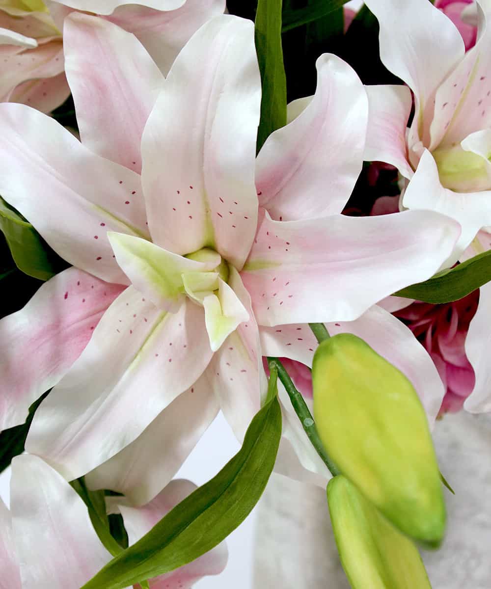 Emilio Robba エミリオ ロバ ローズリリー4l21 P イトキンオンラインストア