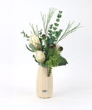 TUUGD61300 EMILIO ROBBA(エミリオ ロバ) プロテア2L26 その他0000