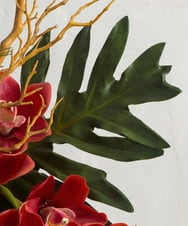 TUUJD22450 EMILIO ROBBA(エミリオ ロバ) シンビジューム2L26 その他0000