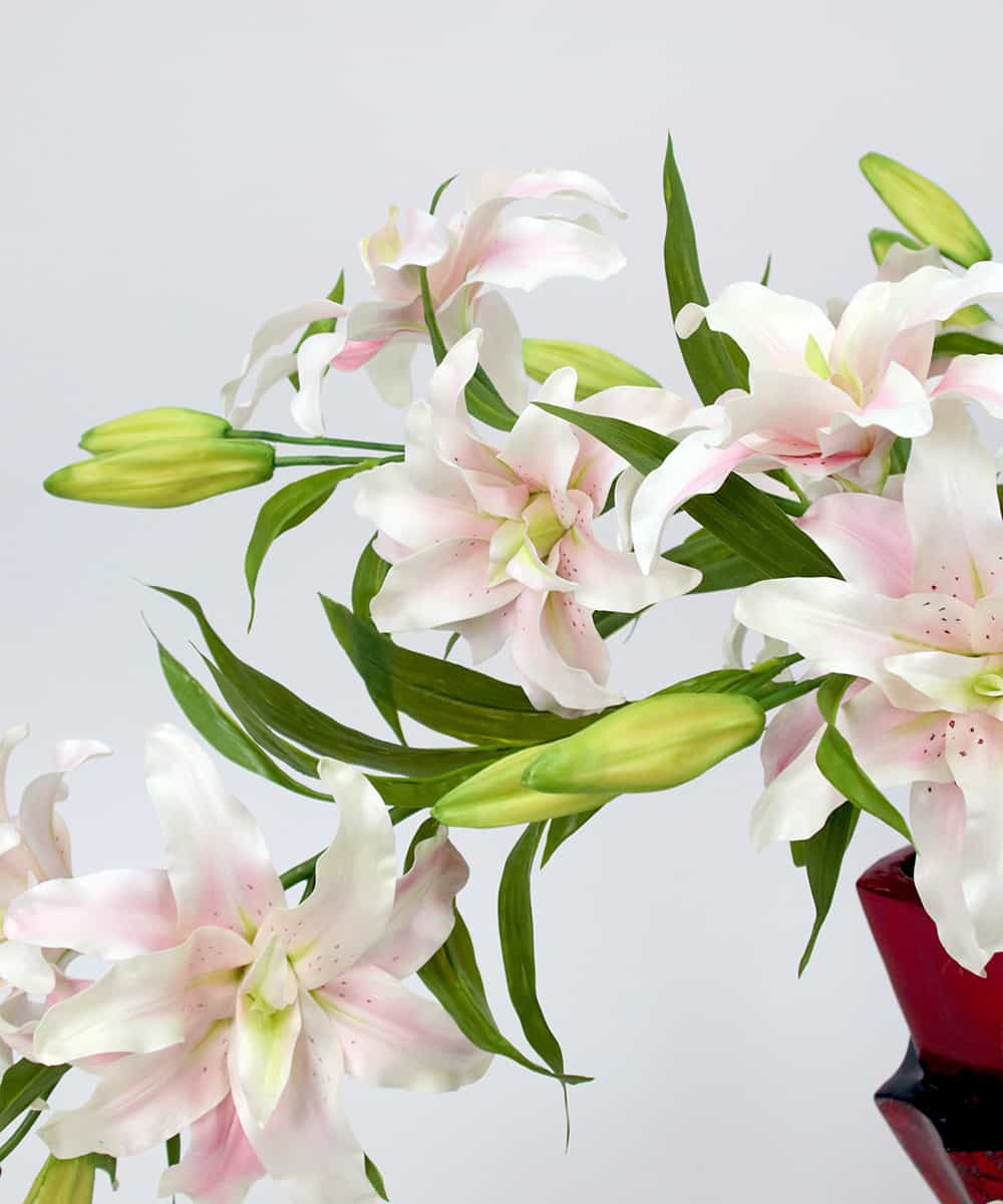 Emilio Robba エミリオ ロバ ローズリリー3xl21 P イトキンオンラインストア