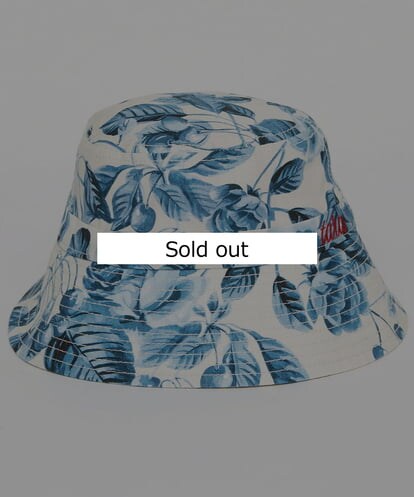VY7GU01130 TARA JARMON Girl roses hat