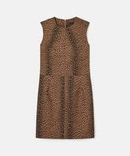 VZEAD19480 TARA JARMON(タラ ジャーモン) レオパードジャカードドレス ヘーゼルナッツ