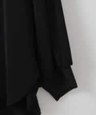 ZMBGE46098 al'aise modulation(アレーズモジュレーション) バックタックデザインブラウス ブラック