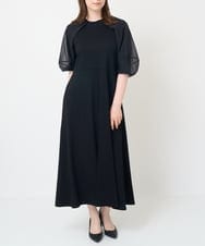ZMEIW02110 al'aise modulation(アレーズモジュレーション) 【洗える】シフォンスリーブワンピース ブラック