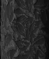 ZMHAE32140 al'aise modulation(アレーズモジュレーション) ふくれジャカードデザインフレアスカート ブラック