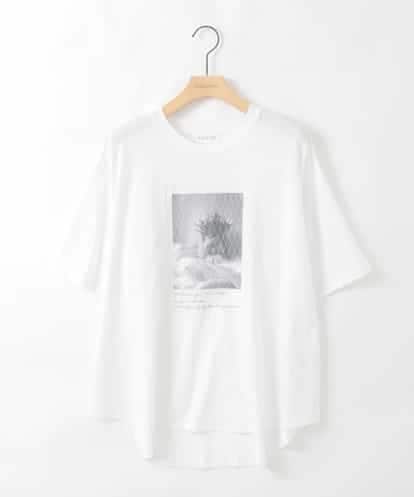 ZMKGE40100 al'aise modulation フォトプリントコラージュデザインTシャツ