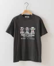 ZMKHB51059 al'aise modulation(アレーズモジュレーション) ダルメシアンTシャツ ダークグレー